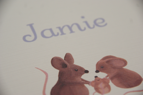 geboortekaartje jamie lila 